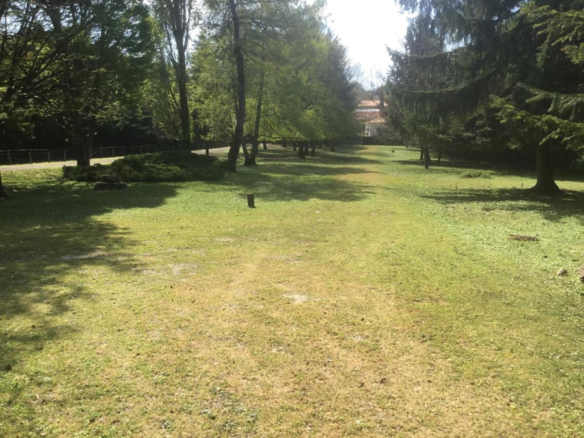 Les Pierrottes Villa Mornac Dış mekan fotoğraf
